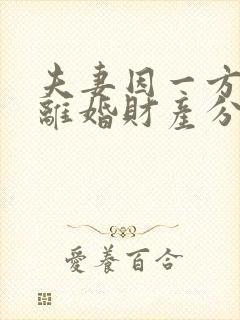 夫妻因一方出轨离婚财产分割