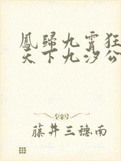 凤归九霄狂妃逆天下九汐公子