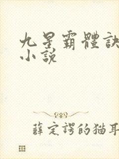 九星霸体诀龙尘小说