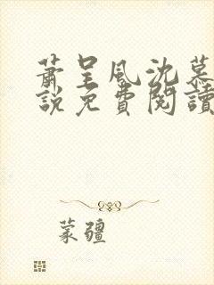 萧呈风沈慕卿小说免费阅读最新章节