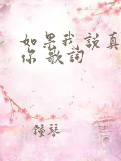 如果我说真的爱你 歌词