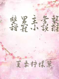 双男主爹系男友甜宠小说推荐