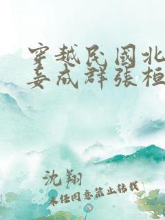 穿越民国北平妻妾成群张桓的小说