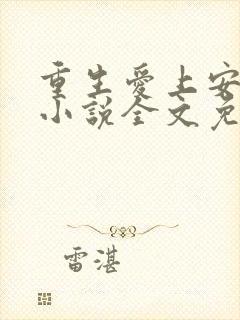 重生爱上安子迁小说全文免费阅读