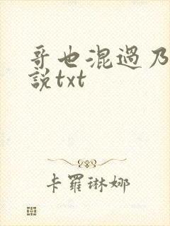 哥也混过乃巴小说txt