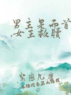 男主是面首不洁,女主救赎