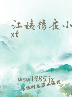 江姨杨夜小说txt