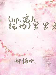 (np,高h,纯肉)男男文