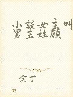 小说女主叫温暖男主姓顾