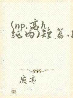 (np,高h,纯肉)短篇小说