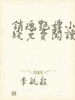 销魂艳婢小说在线免费阅读