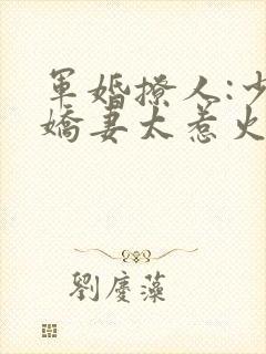 军婚撩人:少将娇妻太惹火