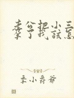 老公把小三搞怀孕了我该怎么办