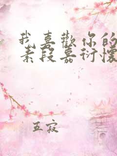 我喜欢你的信息素段嘉衍怀孕