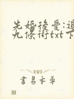 先婚后爱:追妻九条街txt下载全本