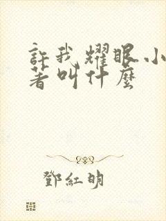 许我耀眼小说原著叫什么