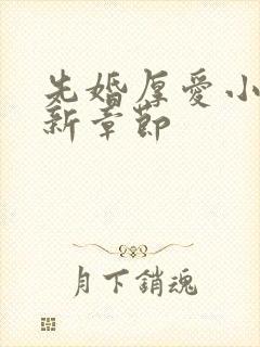 先婚厚爱小说最新章节