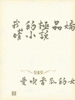 我的极品娇妻苏晴小说