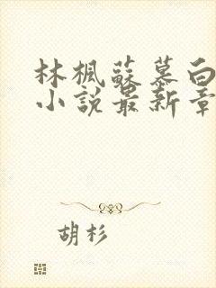 林枫苏慕白穿越小说最新章节更新完了吗