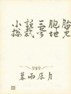 小说三胞胎智斗总裁爹地免费阅读