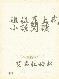 姐姐在上我在下小说阅读