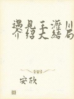 遇见王沥川剧情介绍大结局