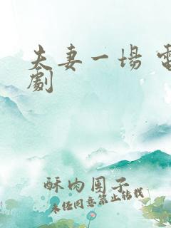 夫妻一场 电视剧