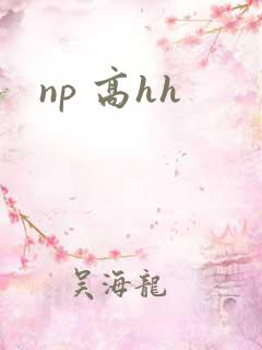 np 高hh