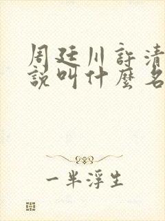 周廷川许清涵小说叫什么名字