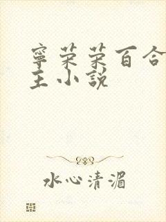 宁荣荣百合双女主小说