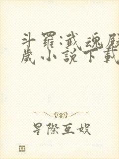 斗罗:武魂殿万岁小说下载txt