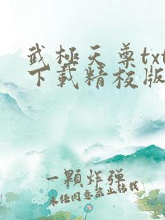 武极天尊txt下载精校版