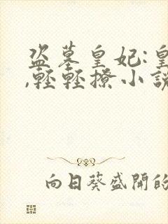 盗墓皇妃:皇上,轻轻撩小说