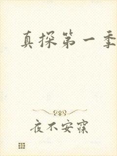 真探第一季高清