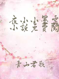 夜小小墨云晔的小说免费阅读