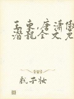 王东,唐潇傲世潜龙全文免费阅读大结局