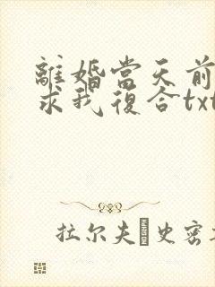 离婚当天前夫跪求我复合txt下载