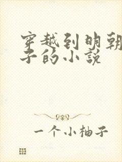 穿越到明朝当太子的小说