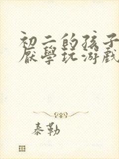 初二的孩子叛逆厌学玩游戏怎么办