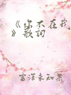 《你不在我不在》歌词