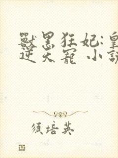 兽黑狂妃:皇叔逆天宠 小说