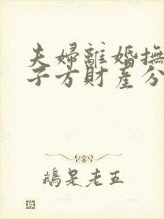 夫妇离婚抚养孩子方财产分割