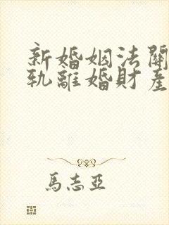 新婚姻法关于出轨离婚财产分割