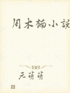 周木楠小说下载