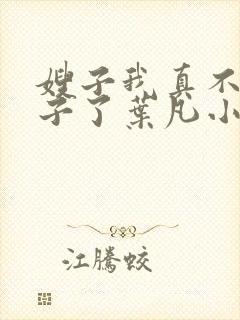 嫂子我真不是傻子了叶凡小说最新章节精校版