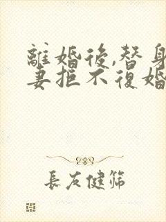 离婚后,替身前妻拒不复婚 无尽夏