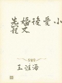 先婚后爱小说甜宠文