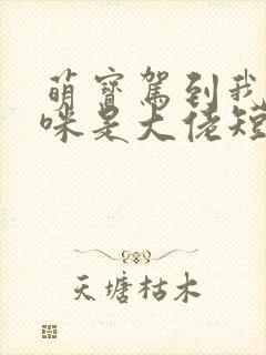 萌宝驾到我的妈咪是大佬短剧全集免费播放