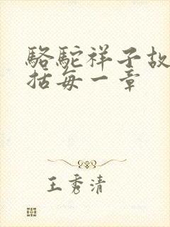 骆驼祥子故事概括每一章