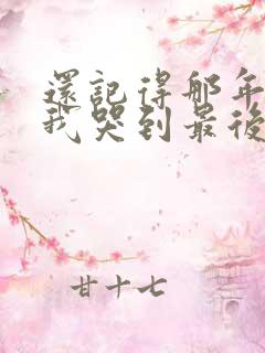 还记得那年分手我哭到最后什么歌